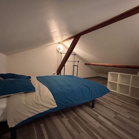 Petite Maison Studio Tout Confort Cosy Givors Autoroute Et Gare Apartment Ngoại thất bức ảnh
